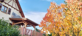 Guest Rooms - Pampas Room (+ Elie Room)