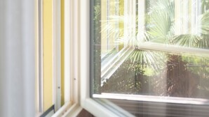 Une fenêtre donnant sur un jardin.