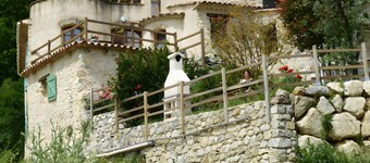 Le frêne – La Ferme des Aygues, Drôme Provençale