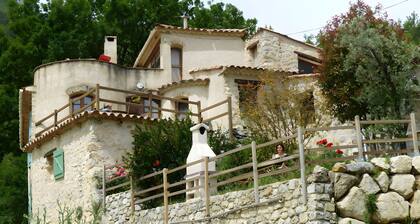 Le frêne – La Ferme des Aygues, Drôme Provençale