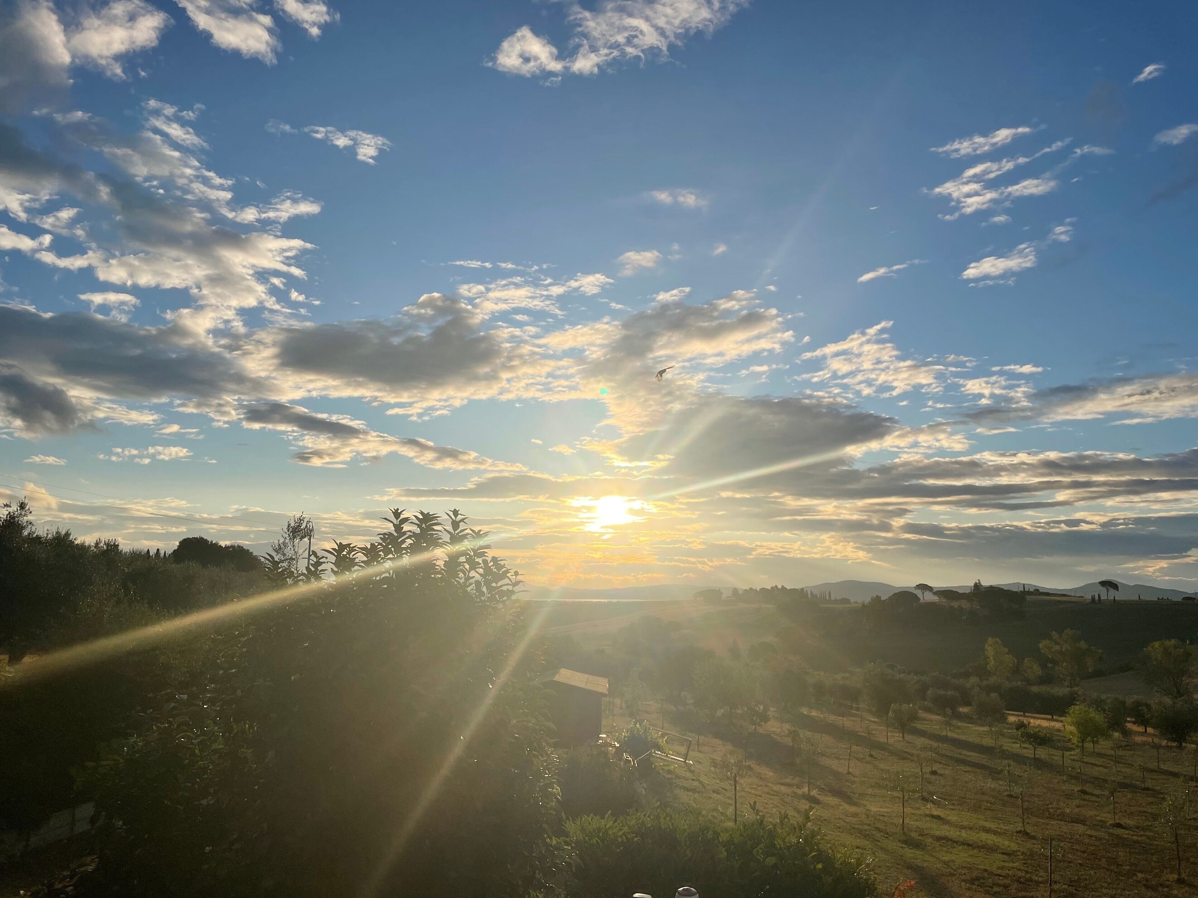 Un paysage caractérisé par un ciel dégagé, le soleil et des collines lointaines.