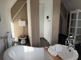 A modern bathroom with a freestanding bathtub, a toilet, and a shower area.
