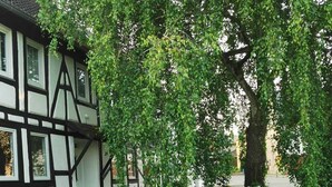 Una casa tradicional con entramado de madera y un sendero en el jardín que lleva a un barril.