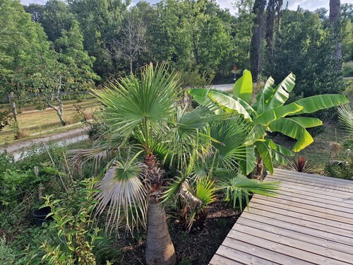 Tropical Escape in Dordogne