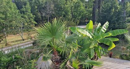 Tropical Escape in Dordogne