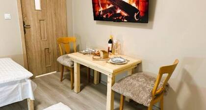 Olszyna Pod Brzozą - Quiet first floor apartment with garden view