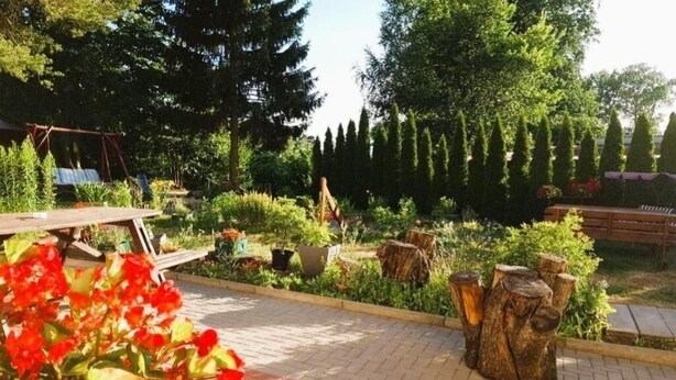 Un jardin avec un banc en bois, une table de pique-nique et diverses plantes et arbres.