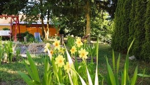 Un jardin avec des fleurs jaunes, un banc en bois et une structure rouge.