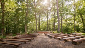 Une zone boisée avec un sentier pavé bordé de bancs en bois.