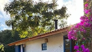 Une maison blanche avec un toit en tuiles, une petite fenêtre et une porte. On peut voir des plantes en pot et des fleurs dans le jardin.