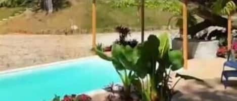 Maison Standard, non-fumeur, vue sur le lac | Piscine