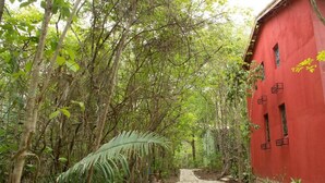 A stone pathway leading to a red building surrounded by dense greenery. - Pousada Éden (Colinas do Sul)