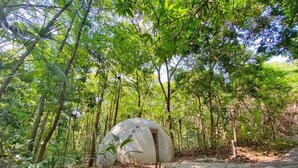 A dome-shaped structure in a forested area with a stone pathway leading to it. - Pousada Éden (Colinas do Sul)