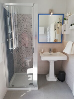 Shower, hair dryer, bidet, towels