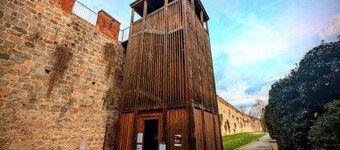 Charming retreat with terrace over Pisa's hidden gardens