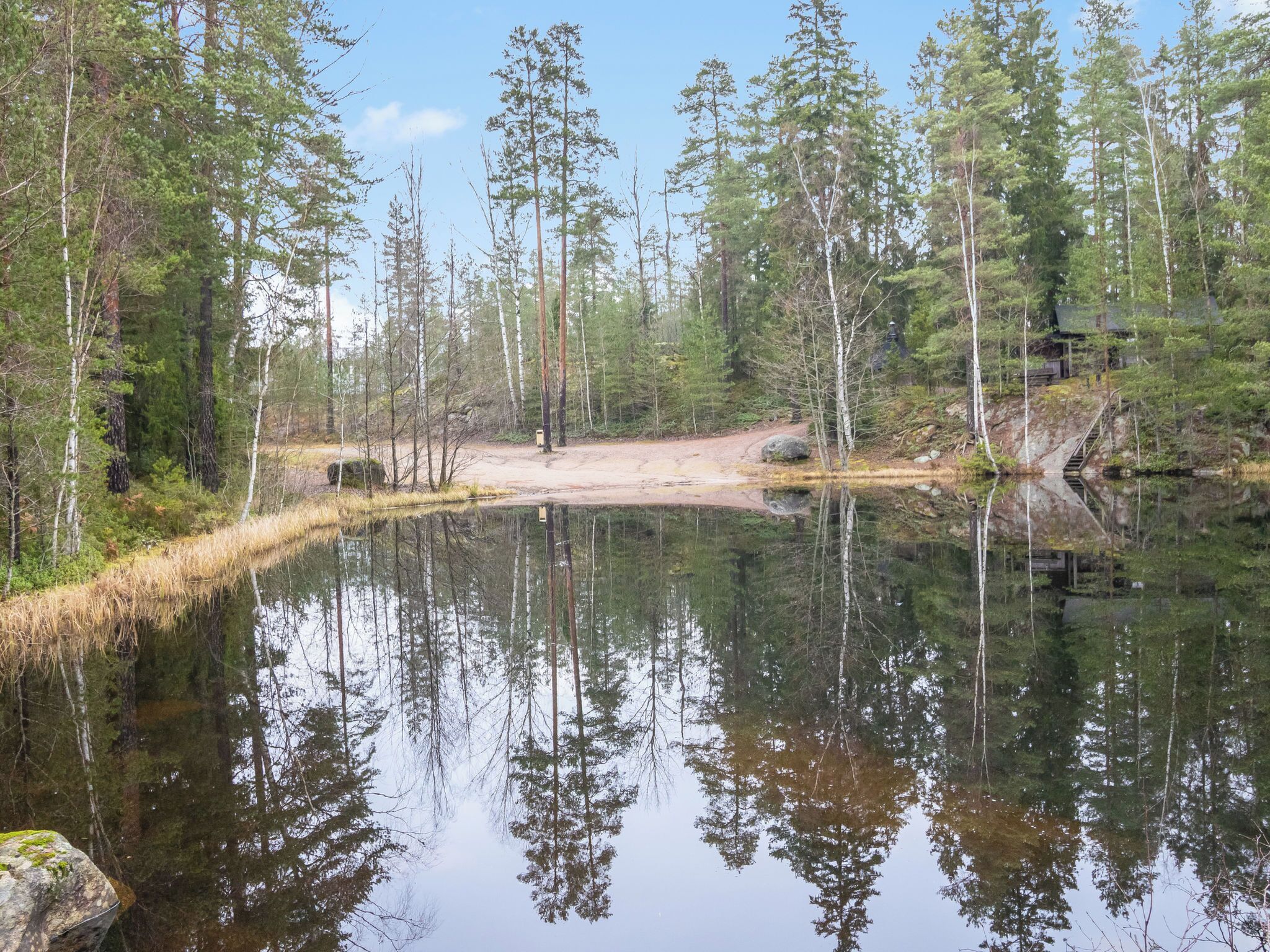 A serene forested area with a calm lake reflecting the surrounding trees.