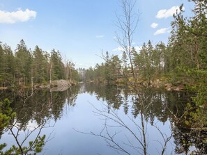 Ein ruhiger See, umgeben von dichtem Wald mit klaren Spiegelungen.