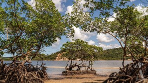 Beach - Pousada Recanto Sol Nascente (Rio Formoso)