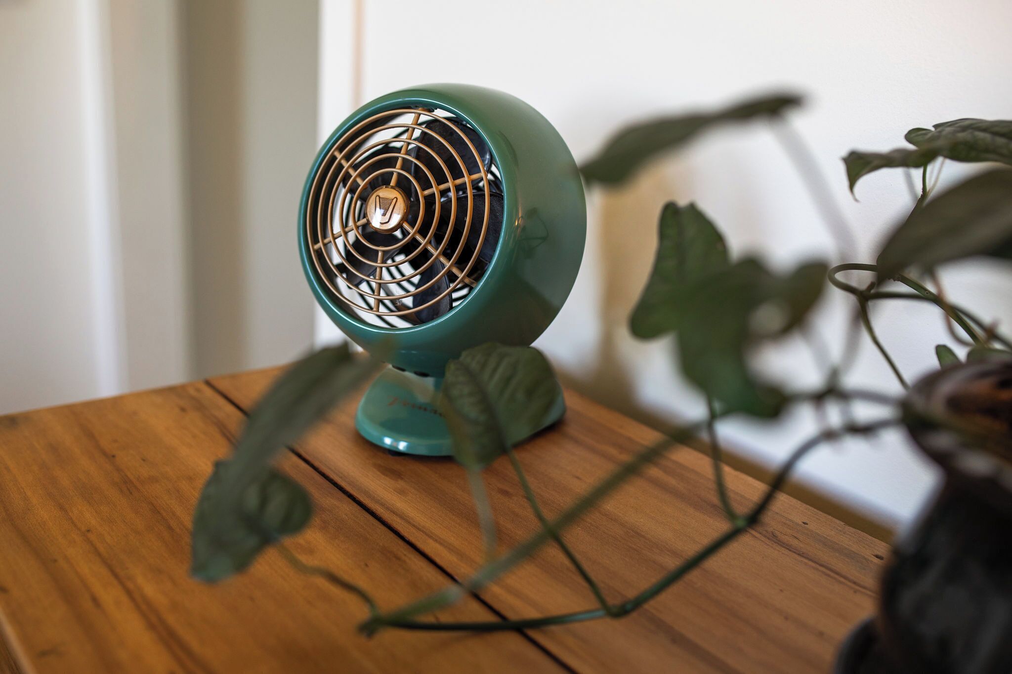 Ein turquoisefarbener Ventilator steht auf einem Holztisch, neben ihm eine Pflanze.