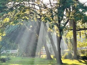 Ảnh chưa phân loại, 5 trong số 10 ảnh, nút