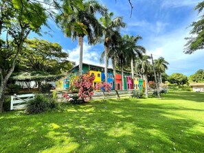 Ảnh chưa phân loại, 2 trong số 10 ảnh, nút