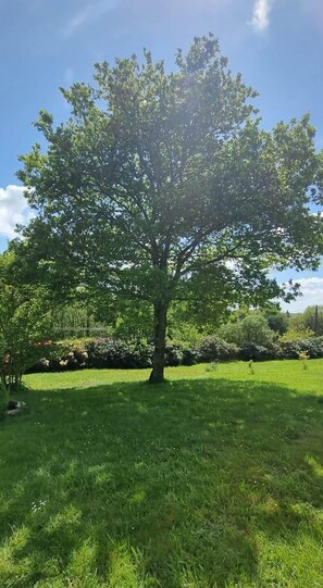 Property grounds - "En Chemin" (LE FAOUET)