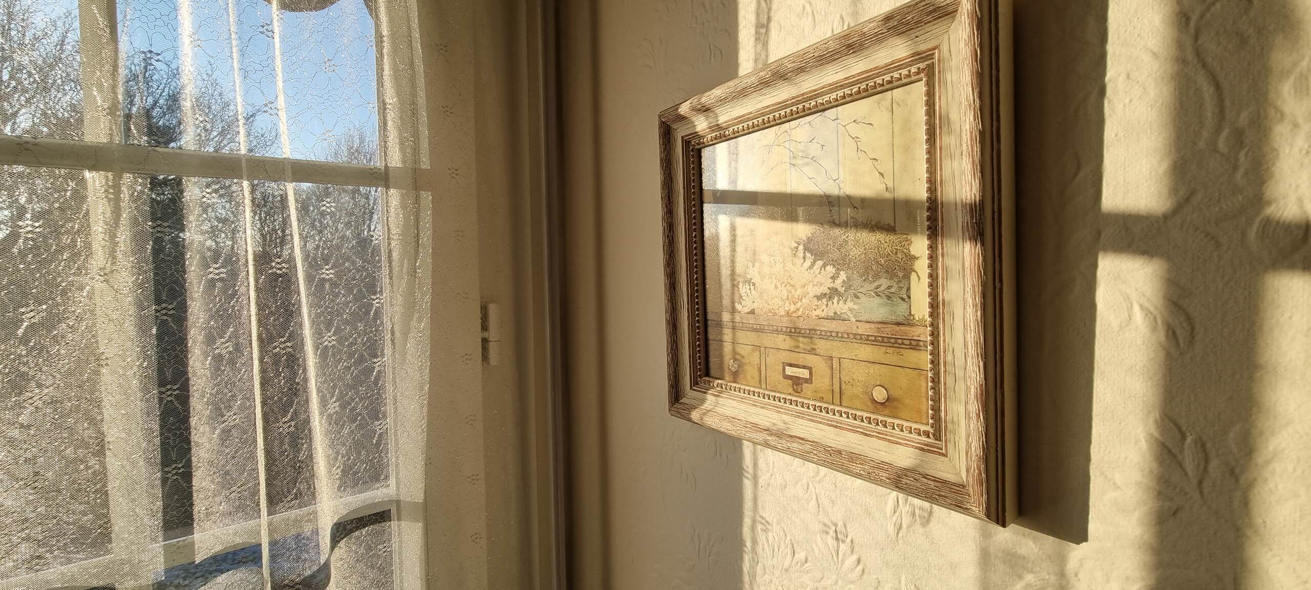 Une fenêtre donnant sur des arbres et un cadre photo fixé au mur.