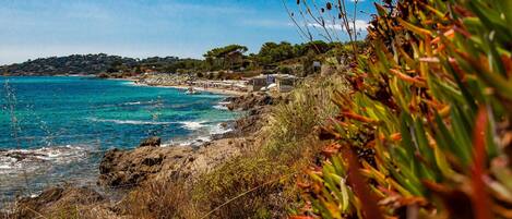 Plage, chaises longues
