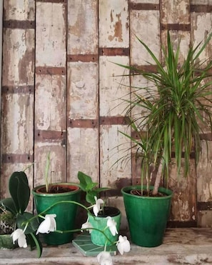 A rustic wooden wall with potted plants and flowers. - Architect Designed Studio Borough (London)