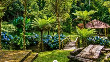 Cottage familiare, vista montagna