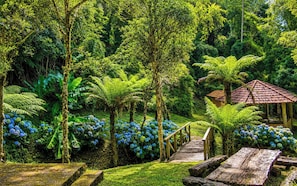 Linda Casa em Estilo Germânico em Rancho Queimado - SC | Áreas de la propiedad