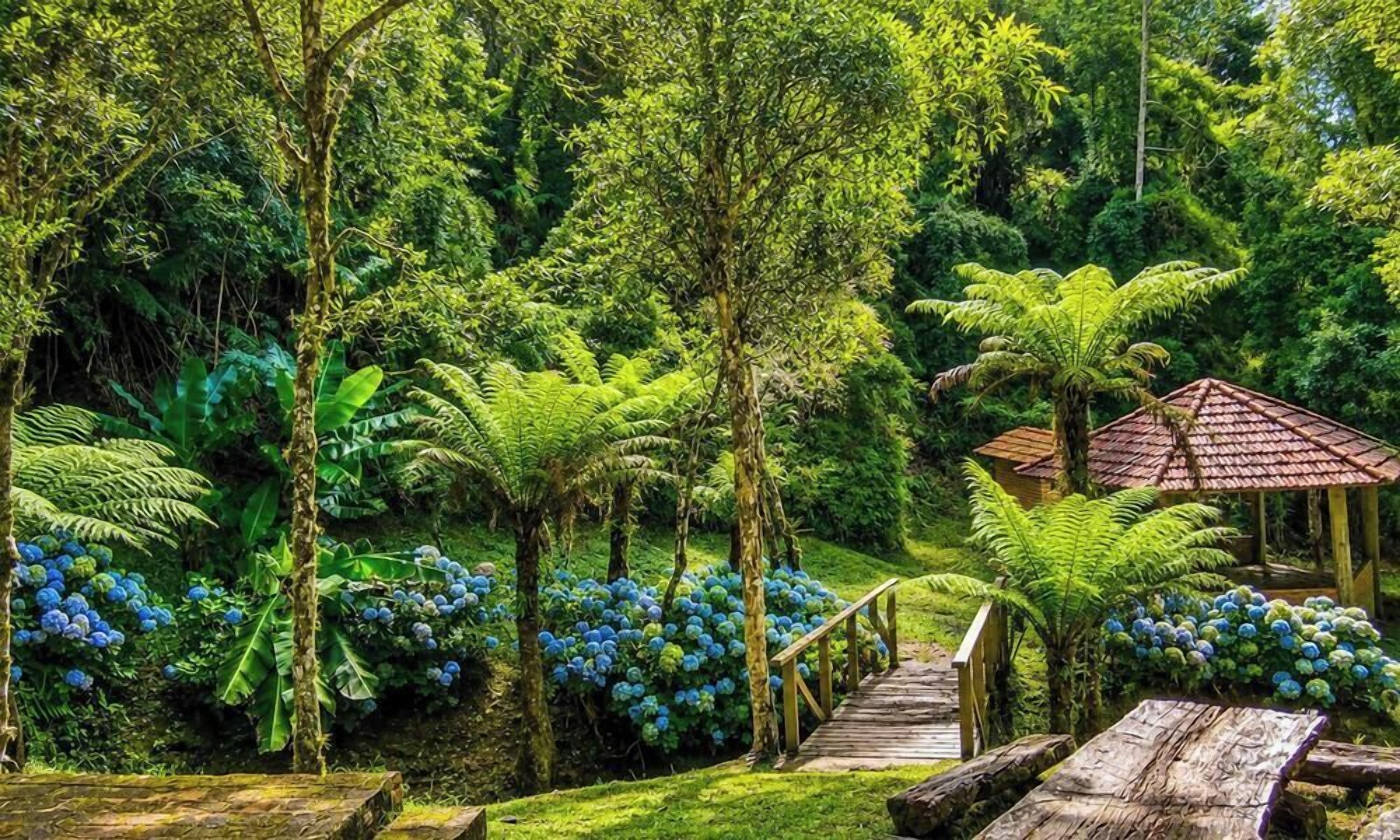 Linda Casa em Estilo Germânico em Rancho Queimado - SC  | Property grounds