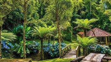 Linda Casa em Estilo Germânico em Rancho Queimado - SC | Property grounds