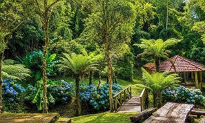 Linda Casa em Estilo Germânico em Rancho Queimado - SC  | Property grounds - Linda Casa em Estilo Germânico em Rancho Queimado (Rancho Queimado)