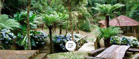 Familjestuga - utsikt mot bergen | Utsikt mot trädgården