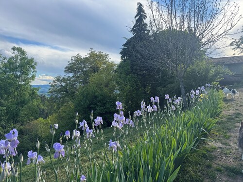 Nature gite, authentic Ardèche farmhouse in the Monts d'Ardeche Regional Park