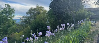 Nature gite, authentic Ardèche farmhouse in the Monts d'Ardeche Regional Park