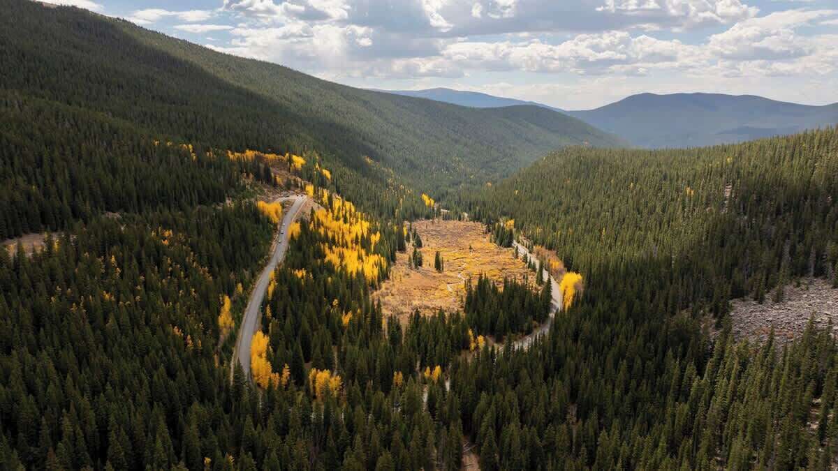 Um vale arborizado com uma estrada sinuosa.