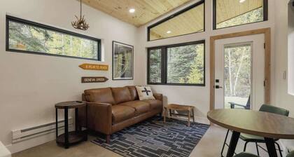 Scenic Guanella Cabin | Sauna | Hot Tub | Lostfork
