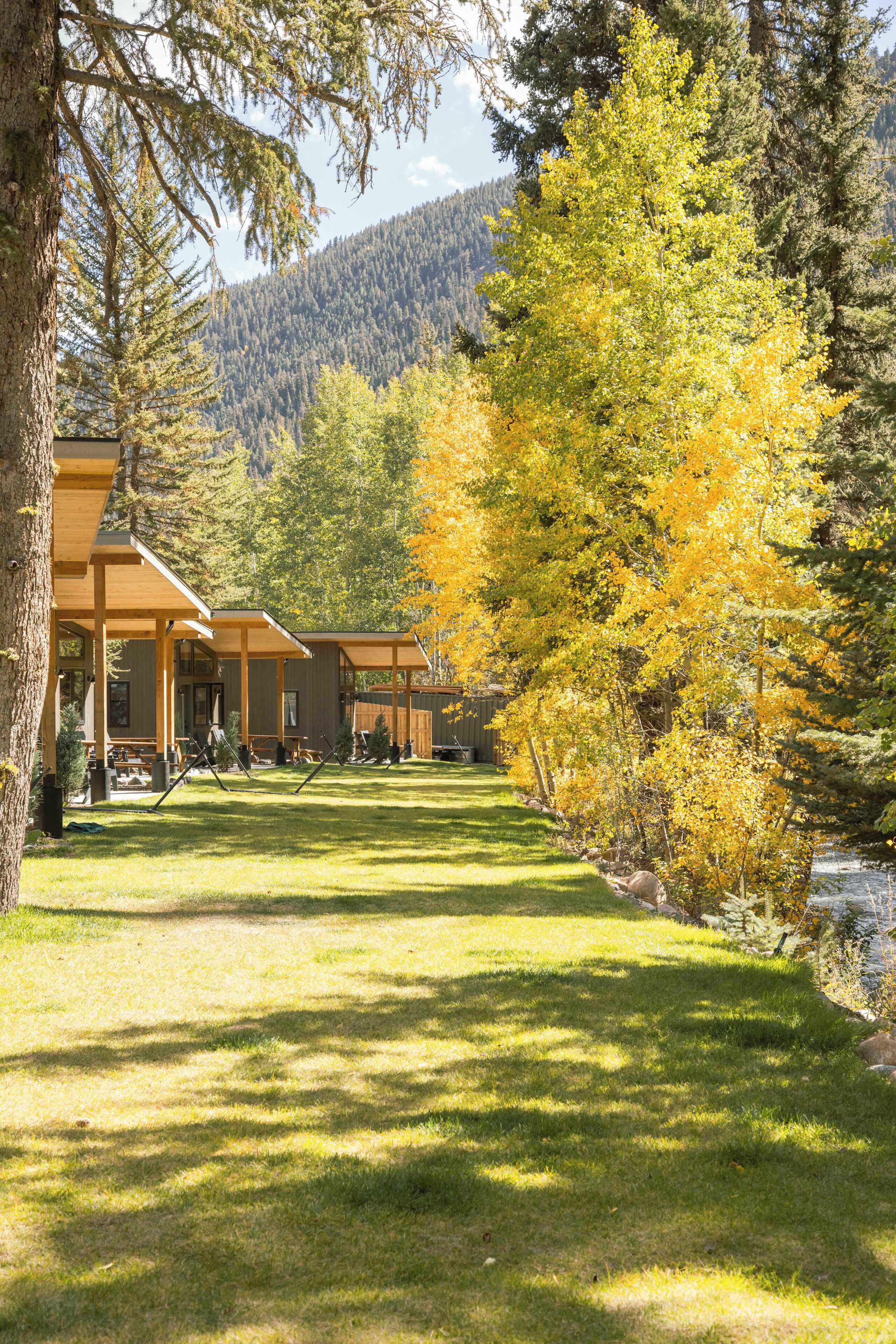 A lodge with a covered patio area, a grassy lawn, and a forested backdrop.