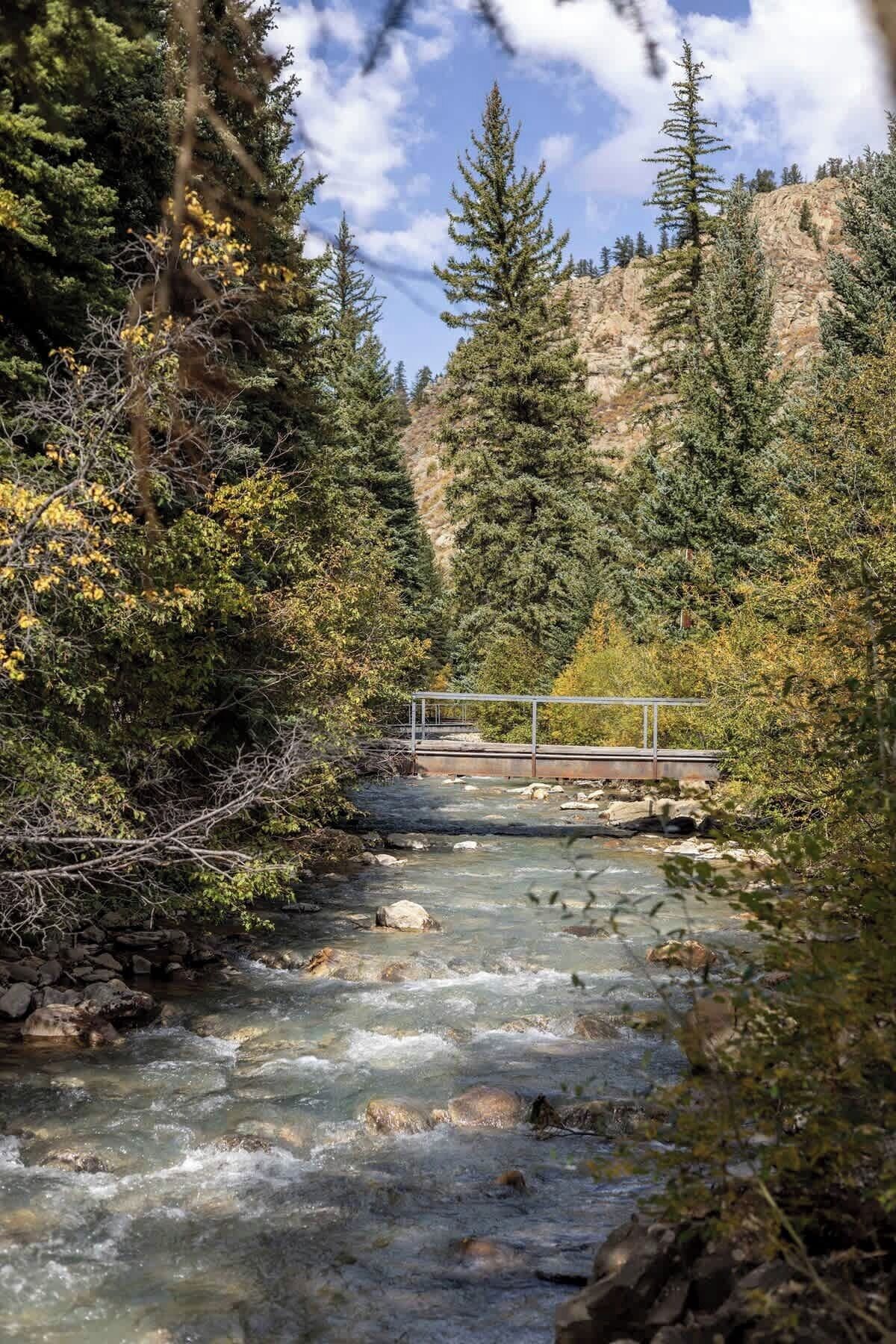 Une rivière qui traverse une forêt, avec un pont métallique.