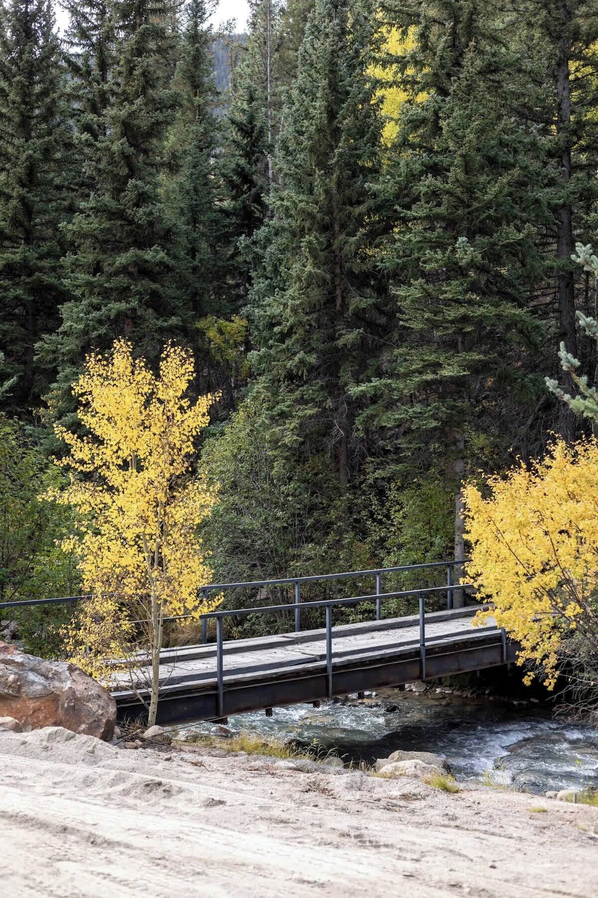 Un pont enjambant une rivière, avec une forêt dense en arrière-plan.