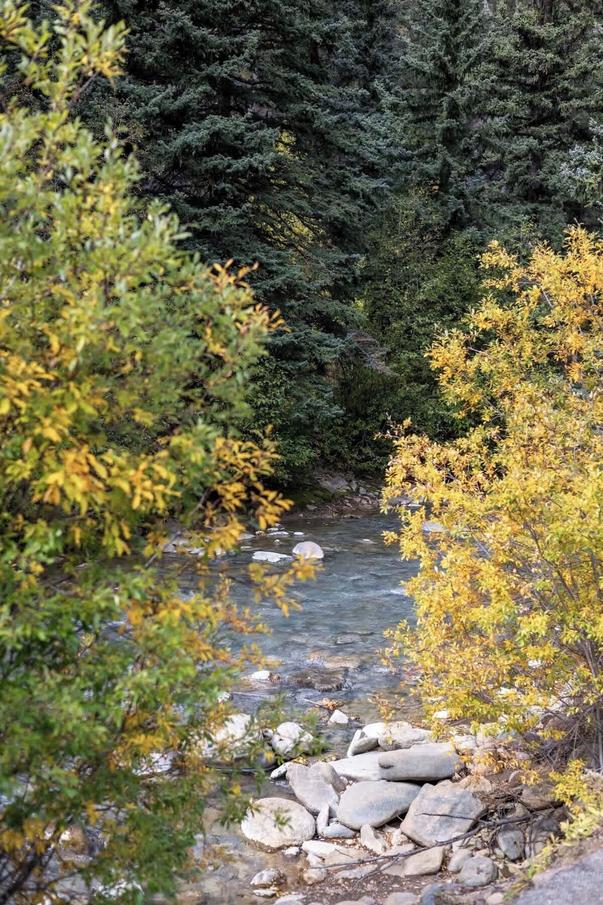 Un río que atraviesa un bosque con rocas y árboles.