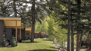 A row of modern cabins with large windows, surrounded by dense forest. - Exclusive Basecamp Buyout | 14 Cabins | Lostfork (Grant)