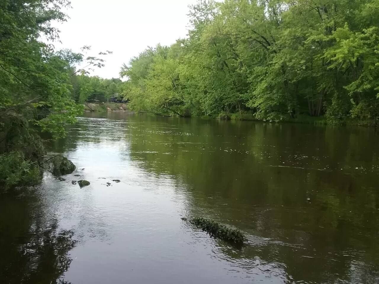 A calm river surrounded by dense greenery.