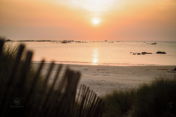 Une scène de plage avec le soleil se couchant sur l’eau, des silhouettes de rochers et de l’herbe au premier plan.