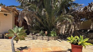 Eine Terrasse mit Topfpflanzen, einer Steinmauer und einer Palme.