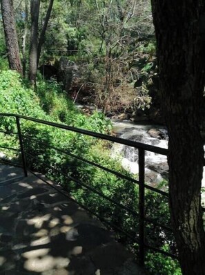 A stone pathway with a metal railing, surrounded by dense green foliage and trees. - CABERNET CABANA CABERNET PINOS DEL RIO NEXT TO UMA CACHOEIRA (Mazamitla)