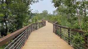 A wooden bridge with metal railings surrounded by greenery. - Serene Lake Ontario Retreat • Entire Home Near Trails & Beach. (Ajax)