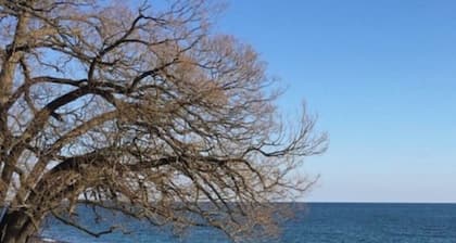 Serene Lake Ontario Retreat âą Entire Home Near Trails & Beach.